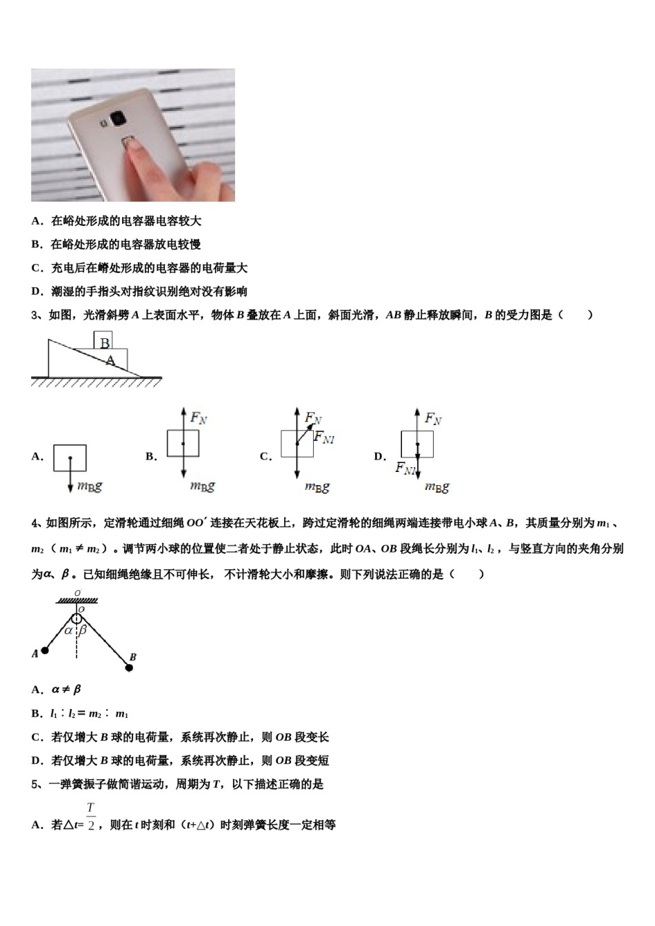 2024年山东省青岛市平度一中高三第二次诊断性检测物理试卷含解析.doc_第2页