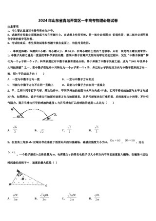 2024年山东省青岛开发区一中高考物理必刷试卷含解析.doc