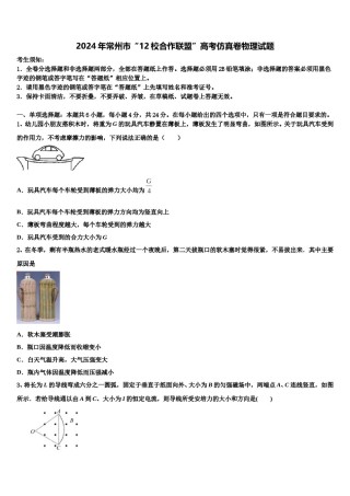 2024年常州市“12校合作联盟”高考仿真卷物理试题含解析.doc