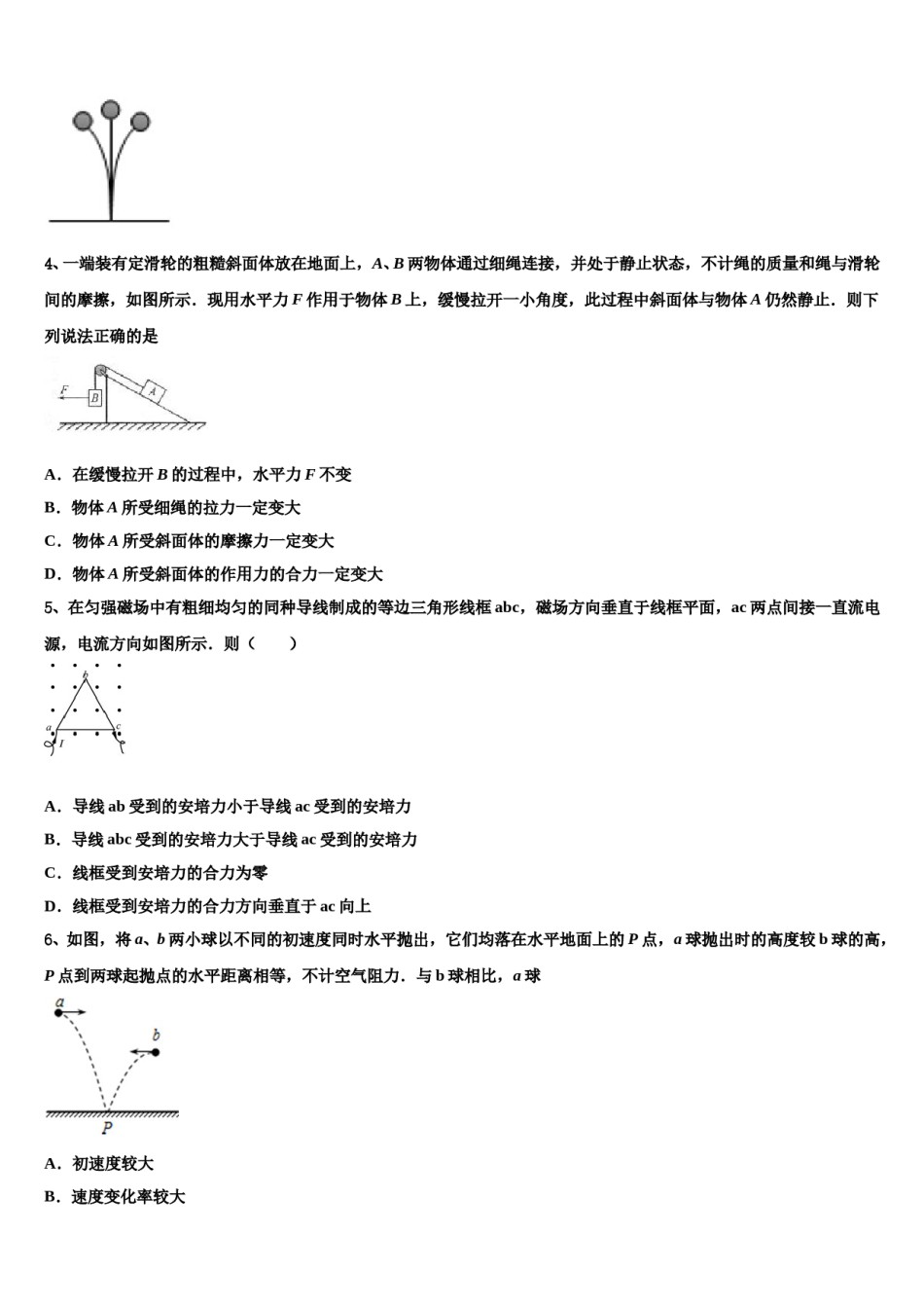 2024年广东省佛山市高明区第一中学高考物理押题试卷含解析.doc_第2页