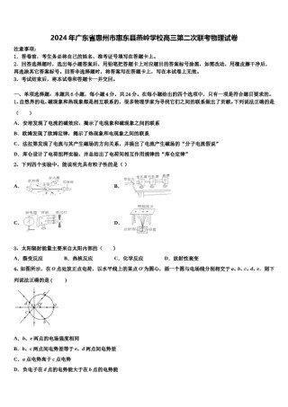 2024年广东省惠州市惠东县燕岭学校高三第二次联考物理试卷含解析.doc