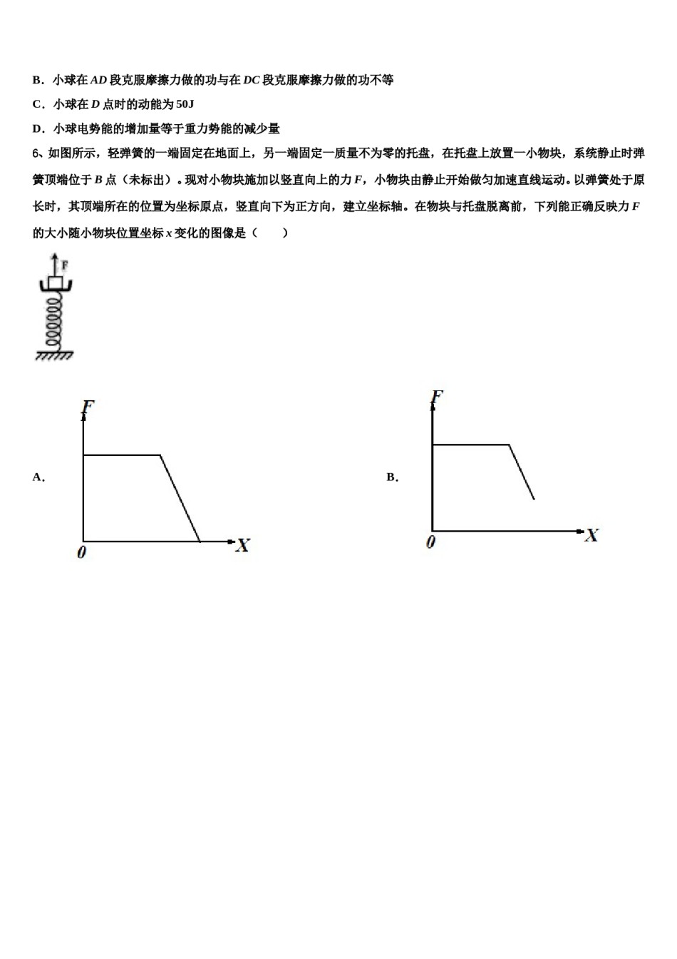 2024年广东省深圳外国语学校高三下学期联合考试物理试题含解析.doc_第3页