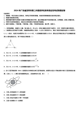 2024年广东省深圳市第二外国语学校高考适应性考试物理试卷含解析.doc
