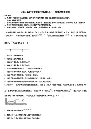 2024年广东省深圳市罗湖区高三一诊考试物理试卷含解析.doc
