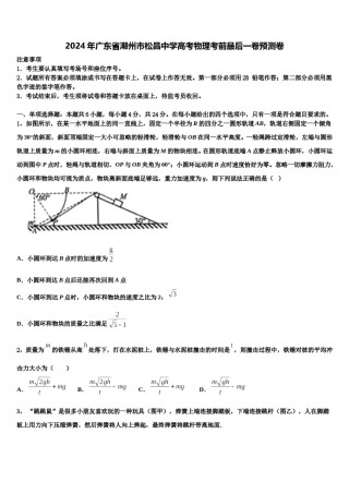 2024年广东省潮州市松昌中学高考物理考前最后一卷预测卷含解析.doc