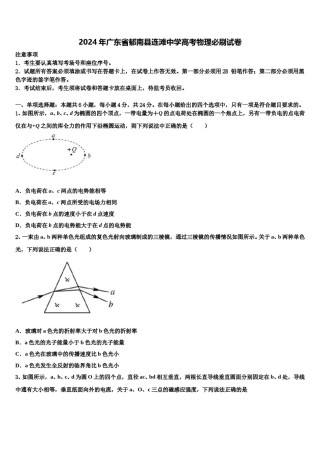 2024年广东省郁南县连滩中学高考物理必刷试卷含解析.doc