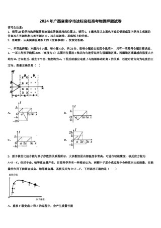 2024年广西省南宁市达标名校高考物理押题试卷含解析.doc