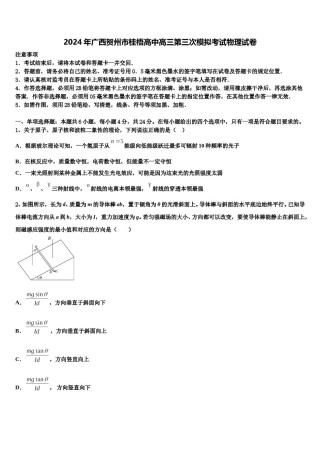 2024年广西贺州市桂梧高中高三第三次模拟考试物理试卷含解析.doc