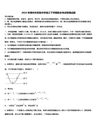 2024年惠州市实验中学高三下学期联合考试物理试题含解析.doc