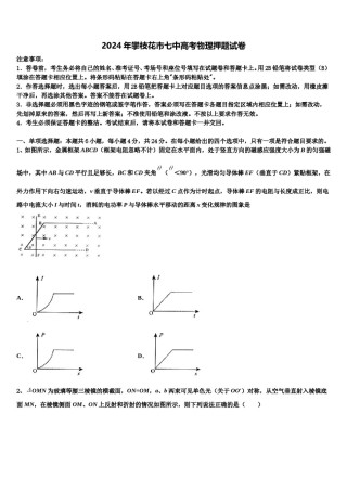 2024年攀枝花市七中高考物理押题试卷含解析.doc