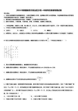 2024年新疆维吾尔自治区沙湾一中高考仿真卷物理试卷含解析.doc