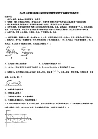 2024年新疆自治区北京大学附属中学高考仿真卷物理试卷含解析.doc