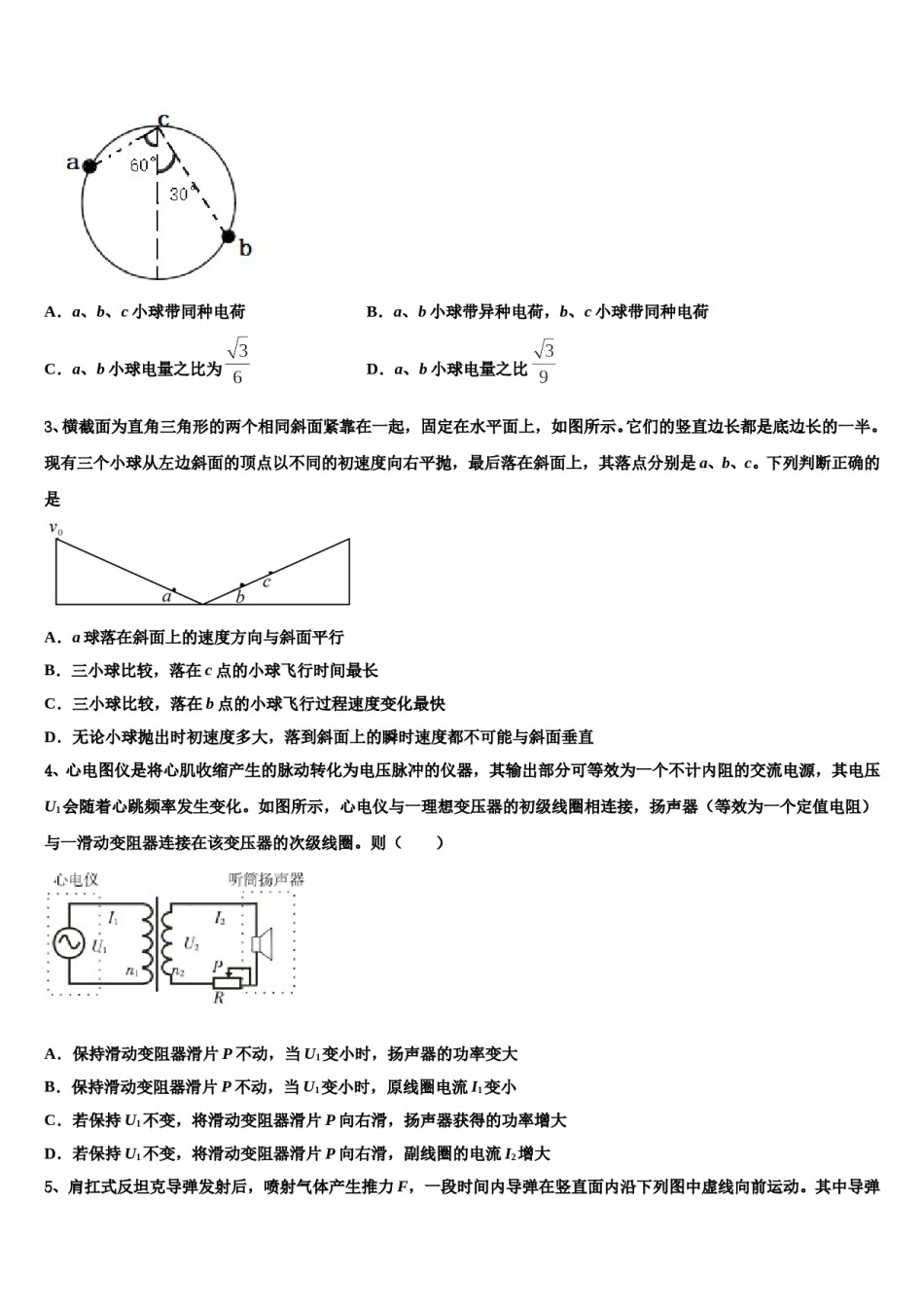 2024年江苏省盐城市景山中学高考仿真卷物理试题含解析.doc_第2页