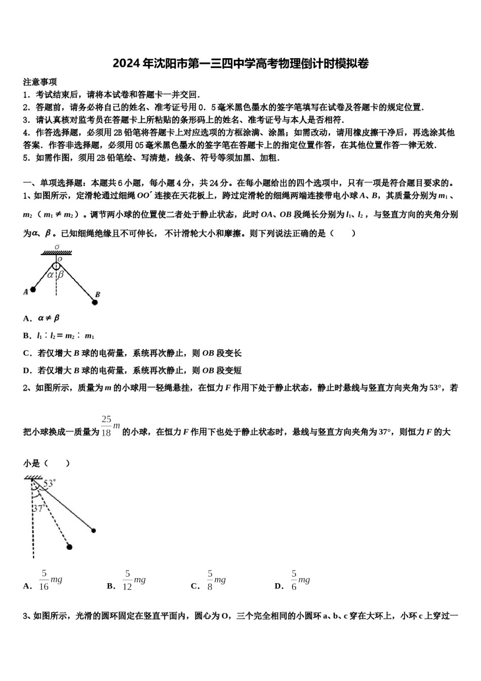 2024年沈阳市第一三四中学高考物理倒计时模拟卷含解析.doc_第1页