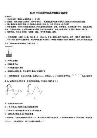 2024年河北狮州市高考物理必刷试卷含解析.doc