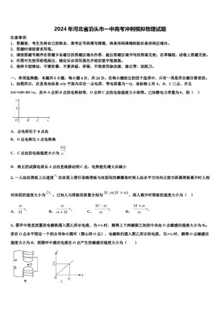 2024年河北省泊头市一中高考冲刺模拟物理试题含解析.doc