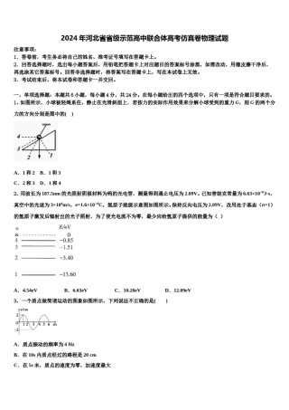 2024年河北省省级示范高中联合体高考仿真卷物理试题含解析.doc