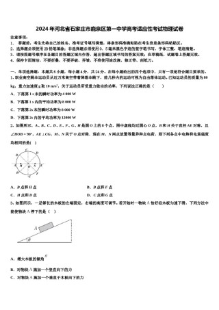 2024年河北省石家庄市鹿泉区第一中学高考适应性考试物理试卷含解析.doc