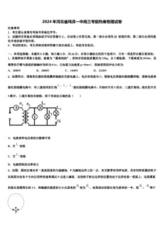 2024年河北省鸡泽一中高三考前热身物理试卷含解析.doc