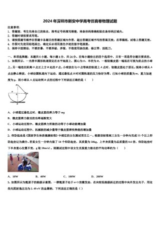 2024年深圳市新安中学高考仿真卷物理试题含解析.doc