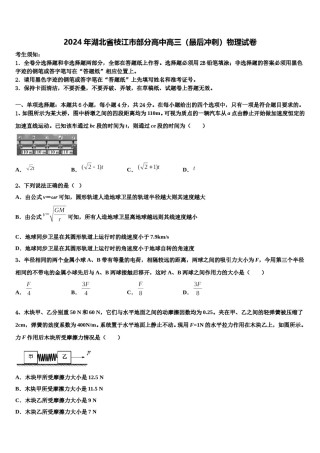 2024年湖北省枝江市部分高中高三（最后冲刺）物理试卷含解析.doc