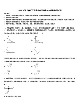 2024年湖北省武汉市重点中学高考冲刺模拟物理试题含解析.doc