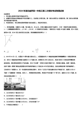 2024年湖北省罗田一中高三第二次模拟考试物理试卷含解析.doc