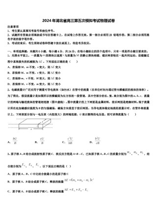 2024年湖北省高三第五次模拟考试物理试卷含解析.doc