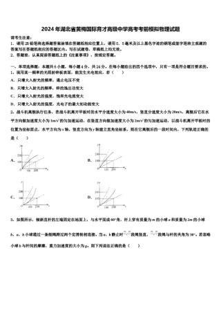 2024年湖北省黄梅国际育才高级中学高考考前模拟物理试题含解析.doc