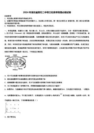2024年湖北省黄石二中等三校高考物理必刷试卷含解析.doc