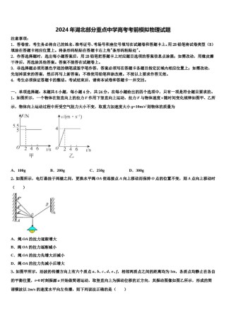 2024年湖北部分重点中学高考考前模拟物理试题含解析.doc