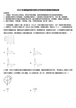 2024年湖南省岳阳市第五中学高考仿真模拟物理试卷含解析.doc