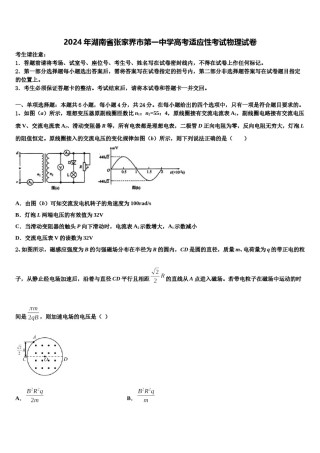 2024年湖南省张家界市第一中学高考适应性考试物理试卷含解析.doc