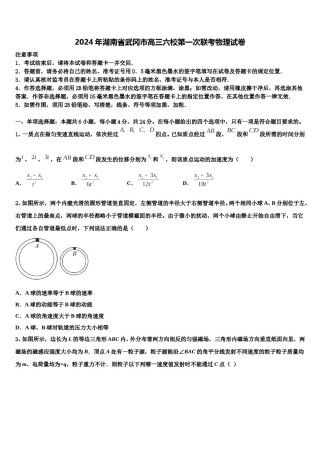 2024年湖南省武冈市高三六校第一次联考物理试卷含解析.doc