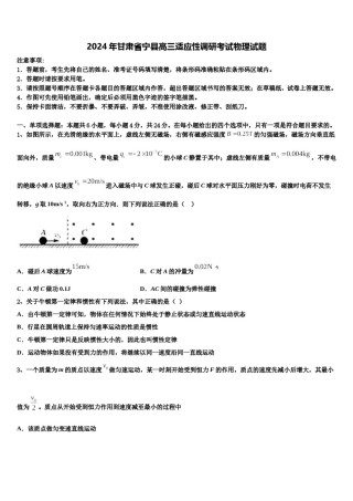 2024年甘肃省宁县高三适应性调研考试物理试题含解析.doc