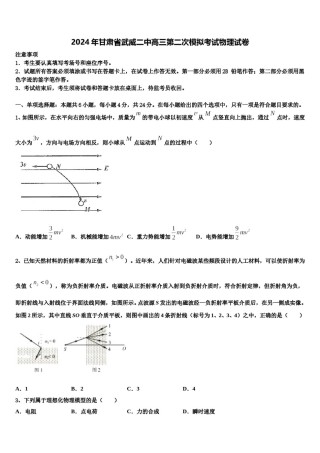 2024年甘肃省武威二中高三第二次模拟考试物理试卷含解析.doc