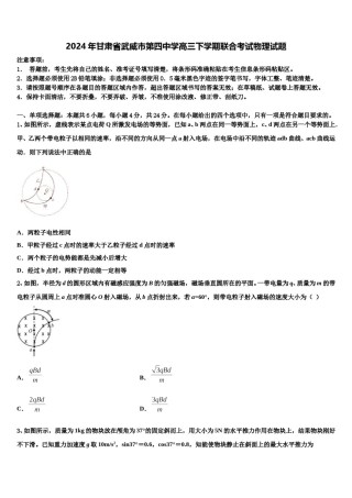2024年甘肃省武威市第四中学高三下学期联合考试物理试题含解析.doc