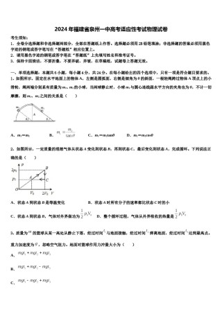 2024年福建省泉州一中高考适应性考试物理试卷含解析.doc