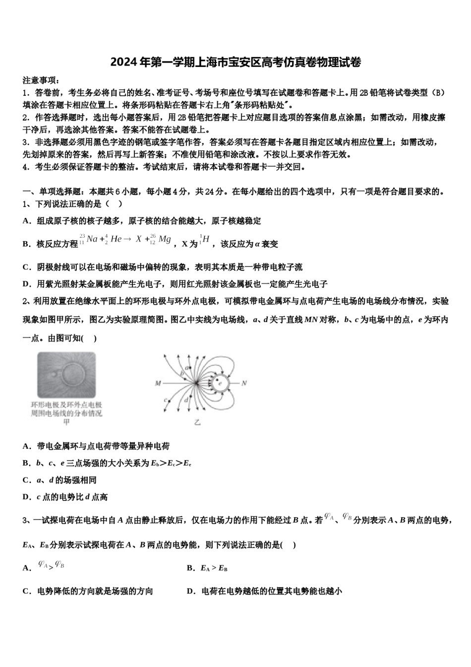 2024年第一学期上海市宝安区高考仿真卷物理试卷含解析.doc_第1页