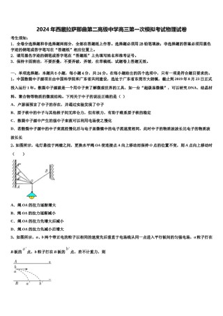 2024年西藏拉萨那曲第二高级中学高三第一次模拟考试物理试卷含解析.doc