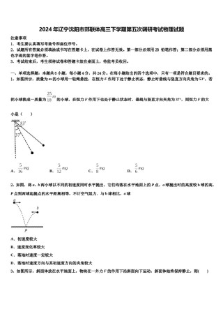2024年辽宁沈阳市郊联体高三下学期第五次调研考试物理试题含解析.doc