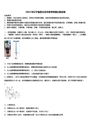 2024年辽宁省普兰店市高考物理必刷试卷含解析.doc