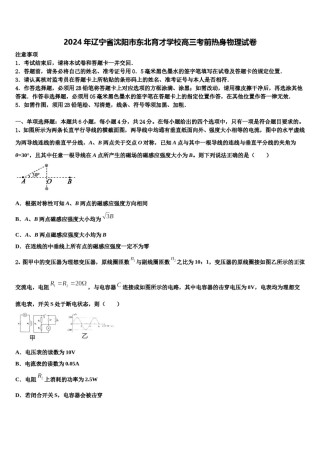 2024年辽宁省沈阳市东北育才学校高三考前热身物理试卷含解析.doc