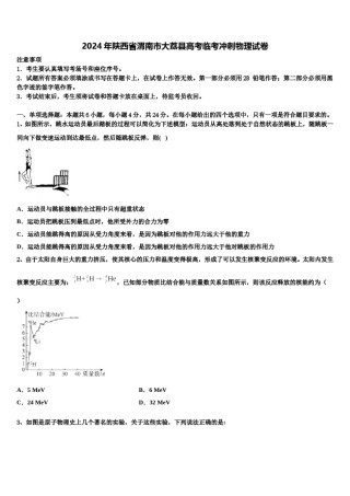 2024年陕西省渭南市大荔县高考临考冲刺物理试卷含解析.doc