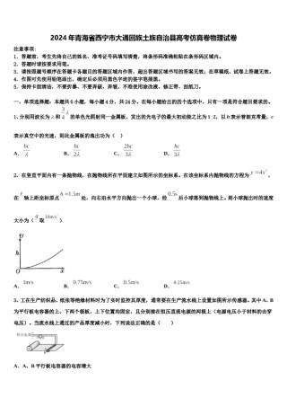 2024年青海省西宁市大通回族土族自治县高考仿真卷物理试卷含解析.doc