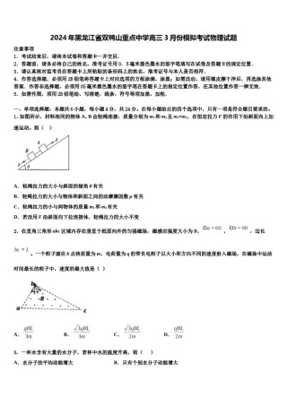 2024年黑龙江省双鸭山重点中学高三3月份模拟考试物理试题含解析.doc