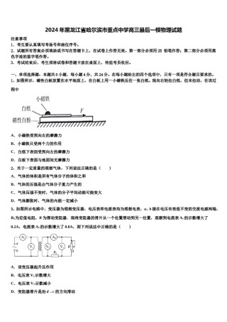 2024年黑龙江省哈尔滨市重点中学高三最后一模物理试题含解析.doc