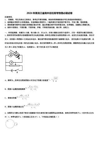 2024年黑龙江省高中名校高考物理必刷试卷含解析.doc