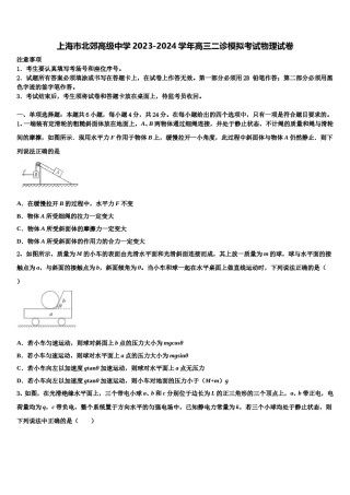 上海市北郊高级中学2023-2024学年高三二诊模拟考试物理试卷含解析.doc