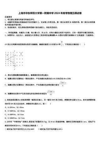 上海市华东师范大学第一附属中学2024年高考物理五模试卷含解析.doc